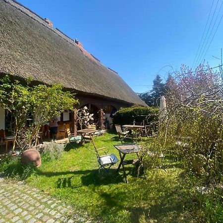 Fischerhaus Galenbeck Panzió Kültér fotó