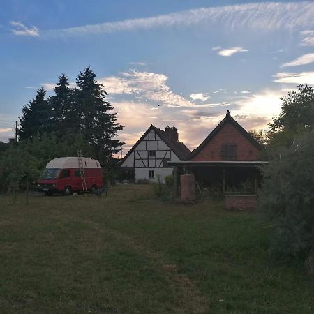 Fischerhaus Galenbeck Panzió Kültér fotó