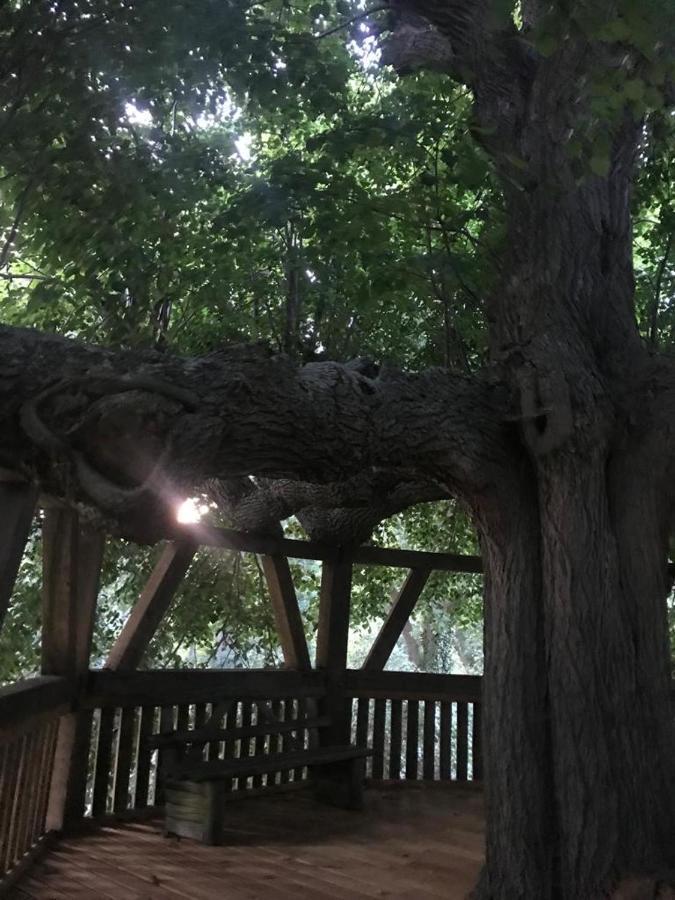 Fischerhaus Galenbeck Panzió Kültér fotó